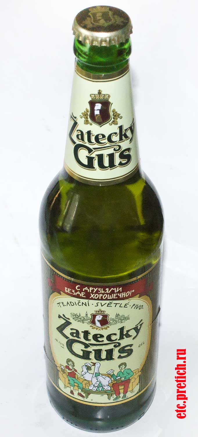 Отзыв на Zatecky Gus светлое пиво сделанное в Казахстане, отличия от Балтики